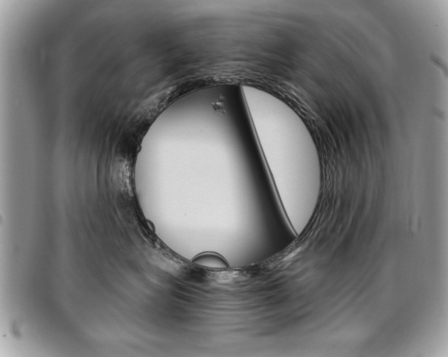 X0000096960575200802080902