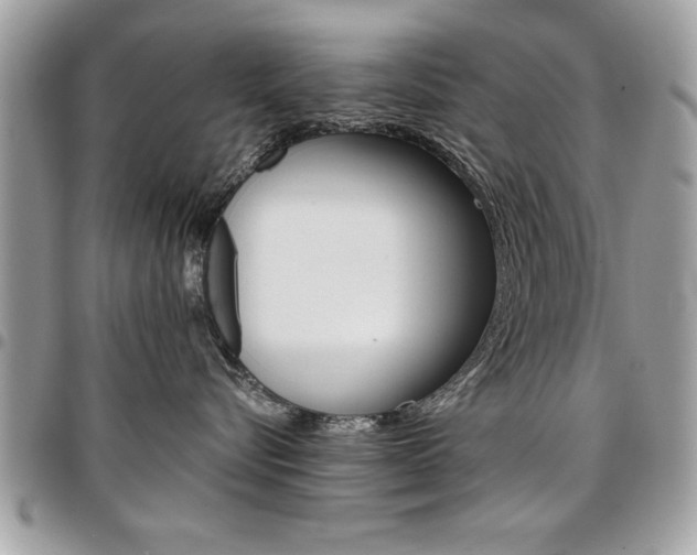 X0000096960576200802080902