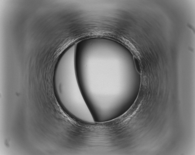X0000096960577200802080902