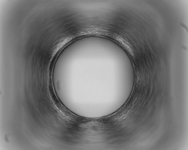X0000096960578200802080902