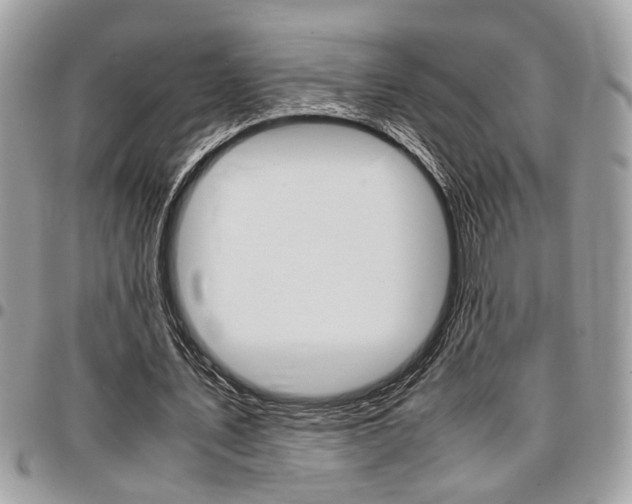 X0000096960579200802080902