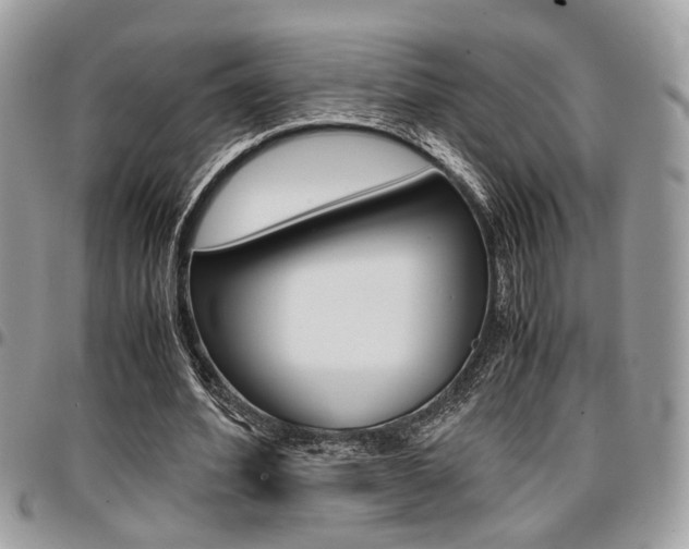 X0000096960580200802080902