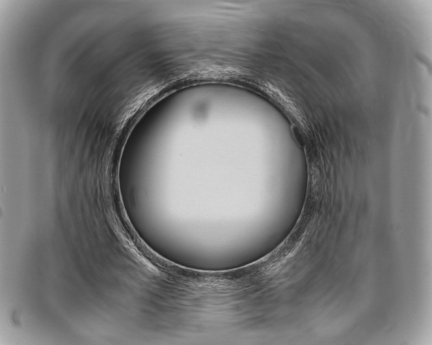 X0000096960581200802080902