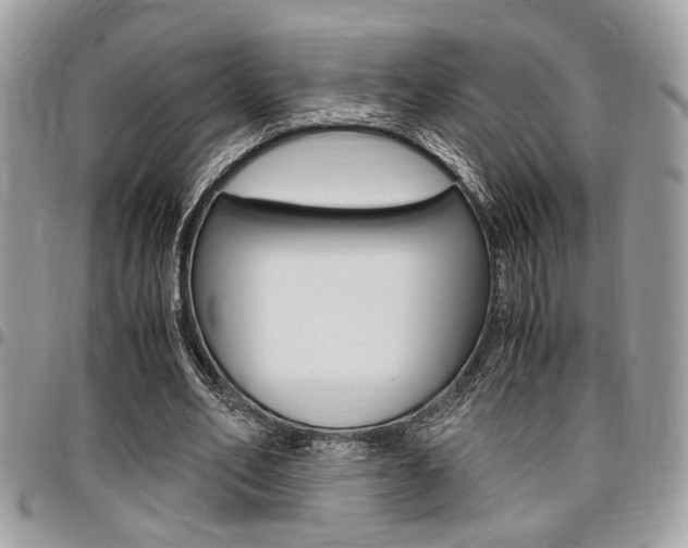 X0000096960582200802080902
