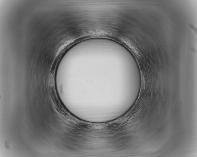 X0000096960583200802080902