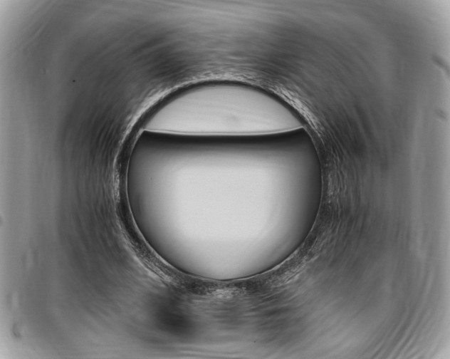 X0000096960584200802080902