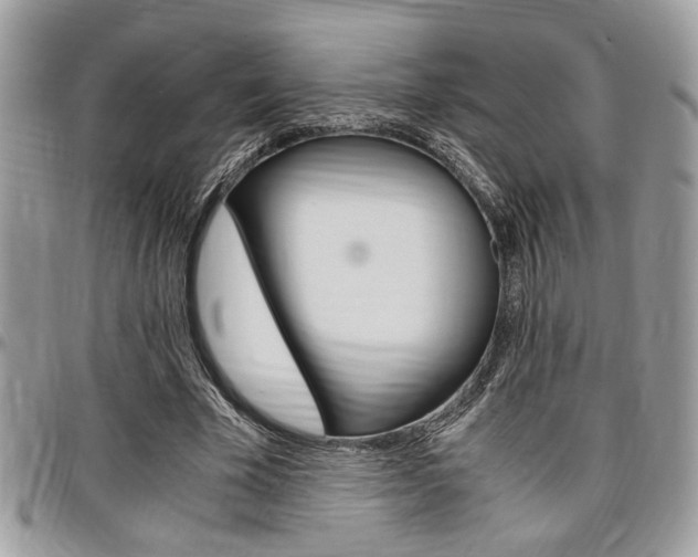 X0000096960585200802080902