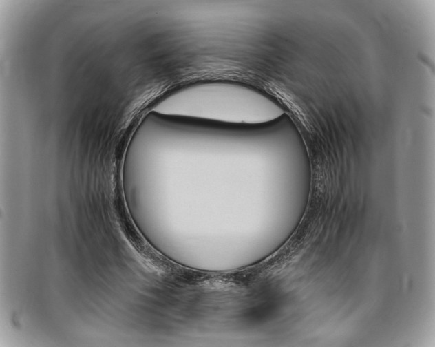 X0000096960586200802080902