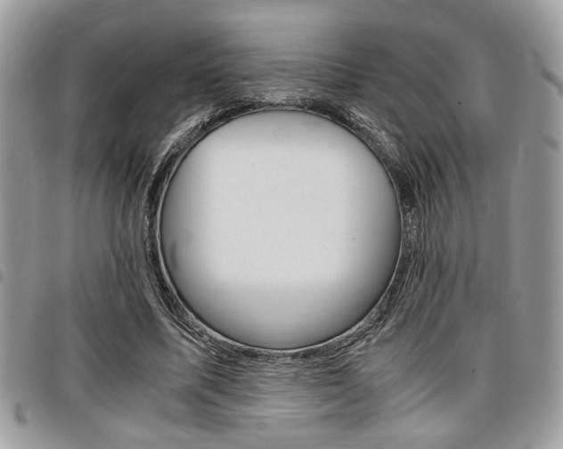 X0000096960587200802080902
