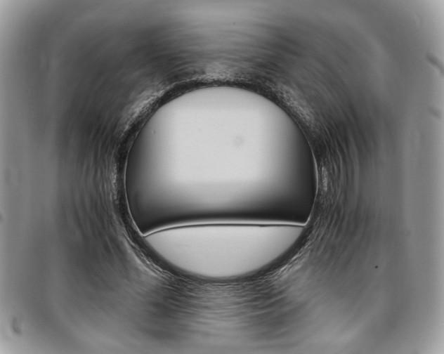 X0000096960588200802080902