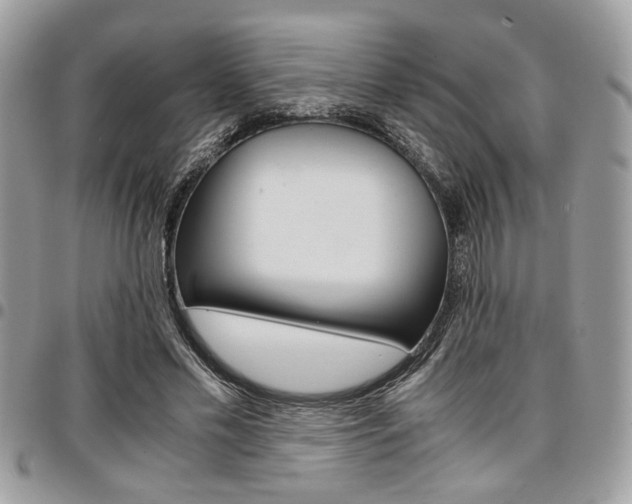 X0000096960589200802080902