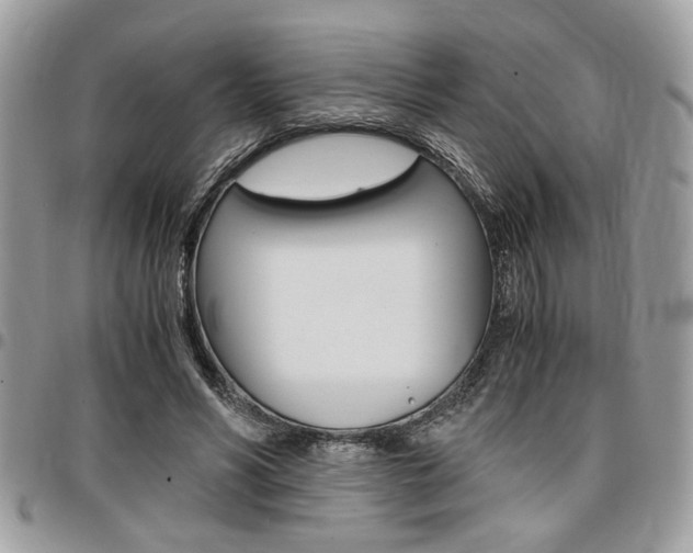 X0000096960590200802080902