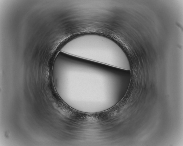X0000096960592200802080902