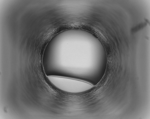 X0000096960593200802080902