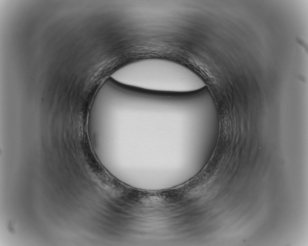X0000096960594200802080902