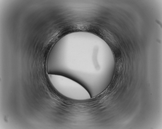 X0000096960595200802080902