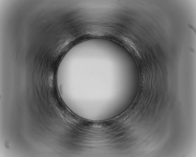 X0000096960596200802080902