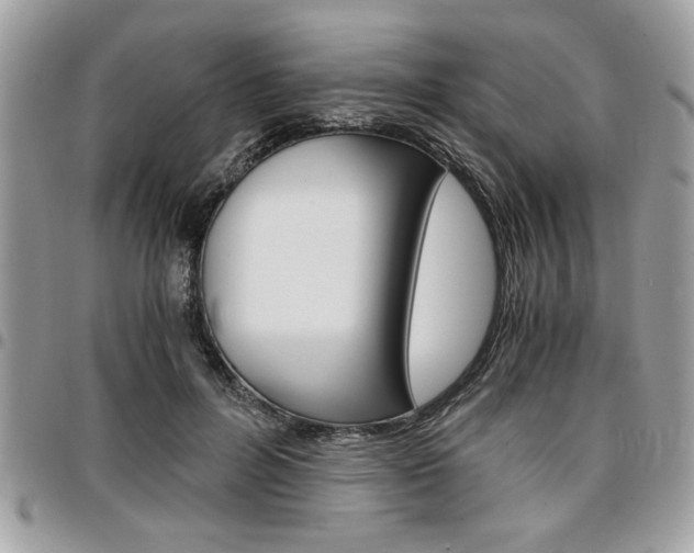 X0000096960600200802080902