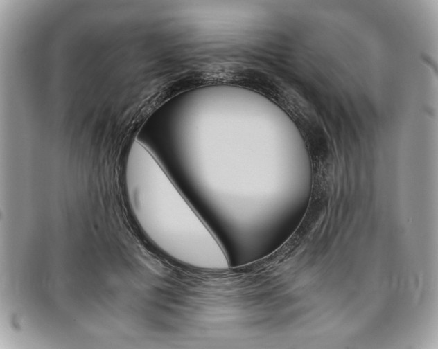 X0000096960601200802080901
