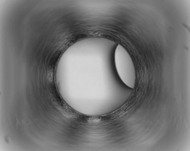 X0000096960602200802080901