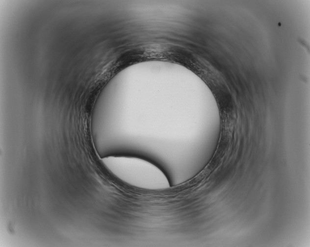 X0000096960603200802080901