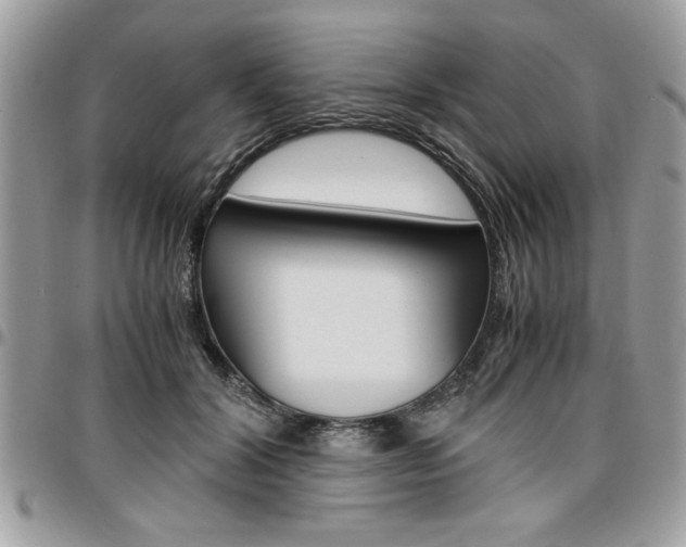 X0000096960604200802080901