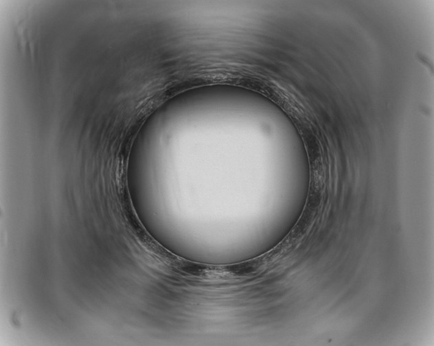 X0000096960605200802080901