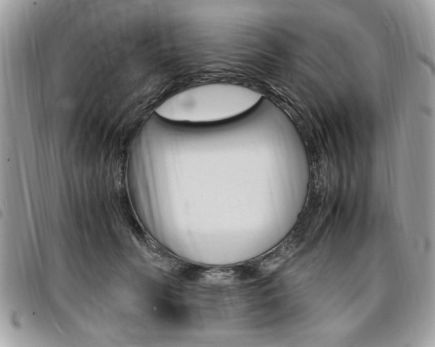 X0000096960606200802080901