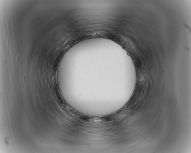 X0000096960607200802080901