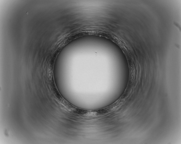 X0000096960609200802080901