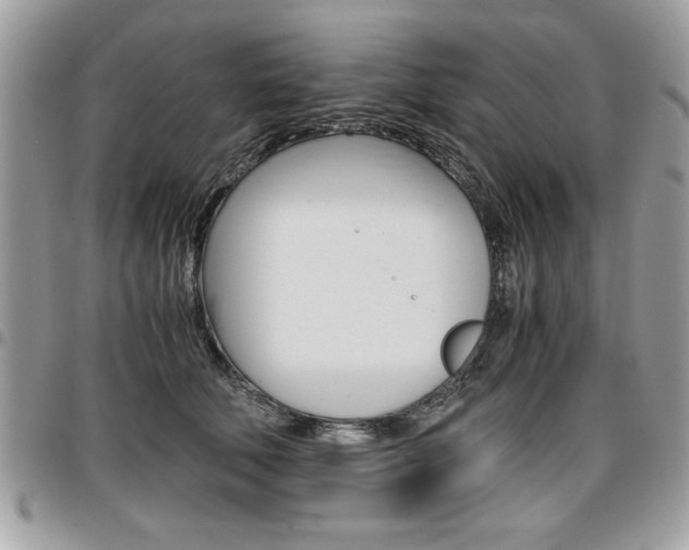 X0000096960610200802080901