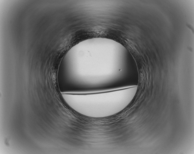 X0000096960613200802080901