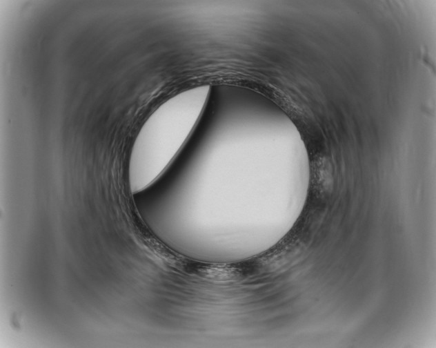 X0000096960615200802080901