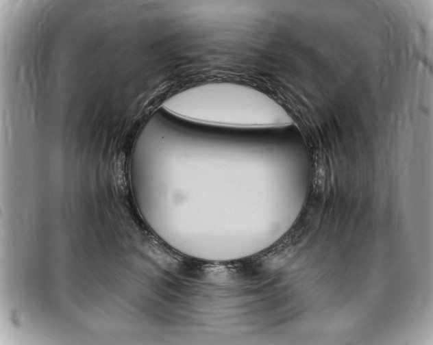 X0000096960616200802080901