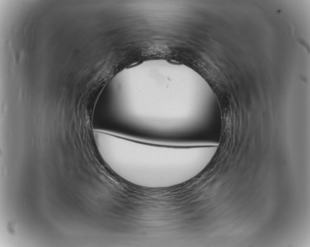 X0000096960617200802080901