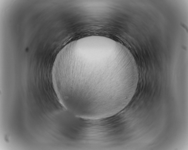 X0000096960618200802080901