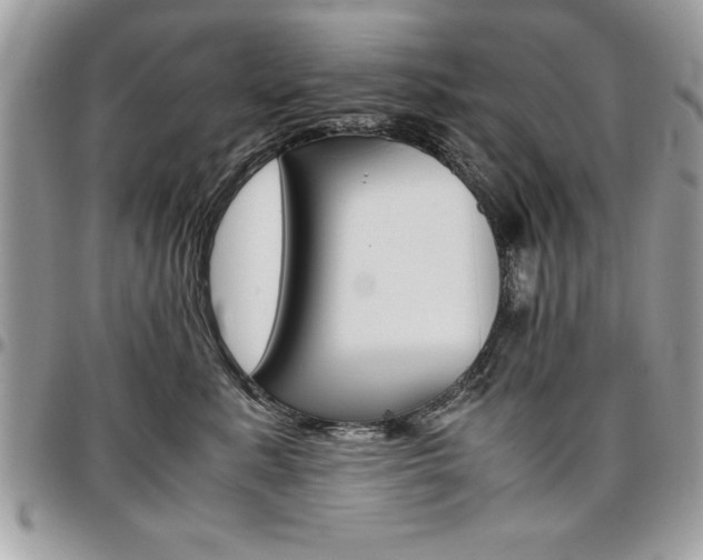 X0000096960619200802080901