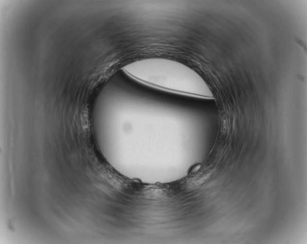 X0000096960620200802080901