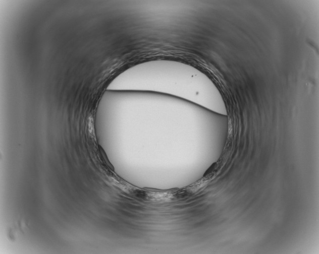 X0000096960621200802080901