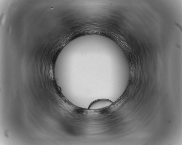 X0000096960622200802080901