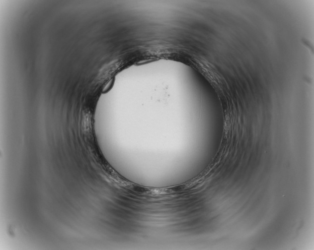 X0000096960623200802080901