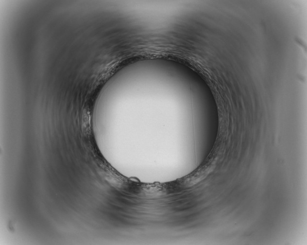 X0000096960624200802080901