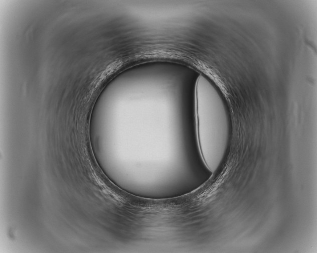 X0000096960625200802080900