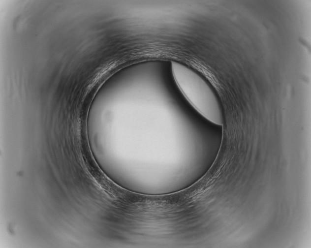X0000096960626200802080900