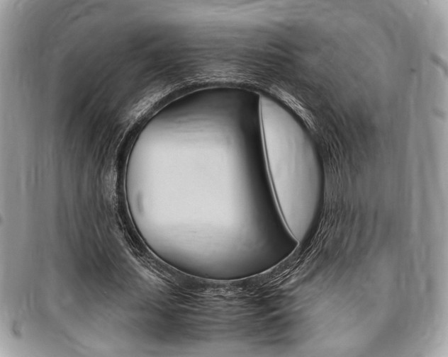 X0000096960627200802080901