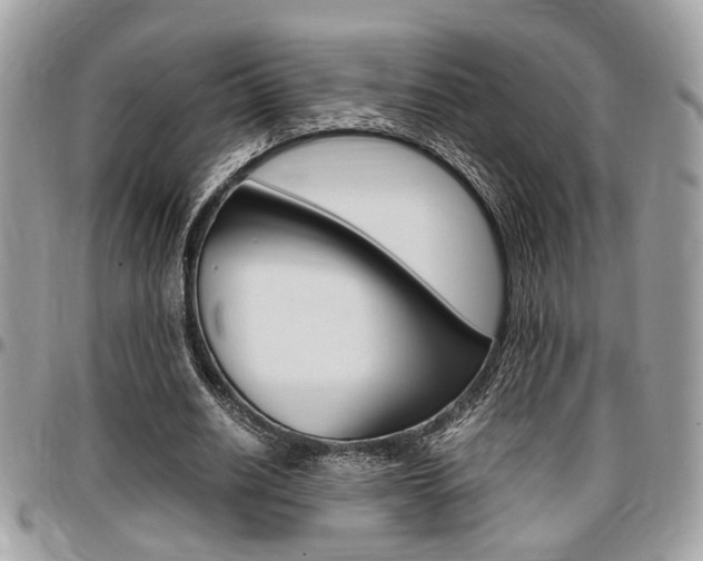 X0000096960630200802080901