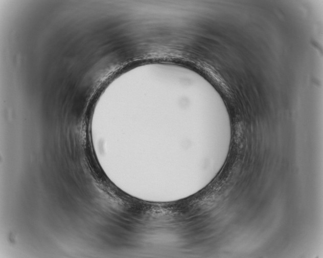X0000096960632200802080901
