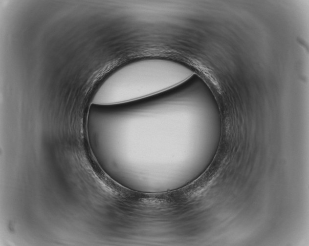 X0000096960633200802080901