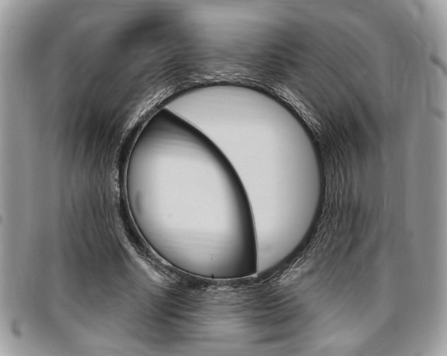 X0000096960634200802080901