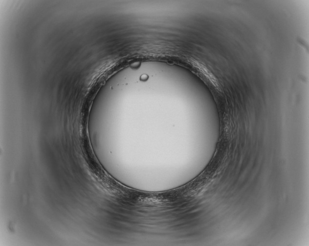 X0000096960635200802080901